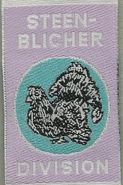 Steen-Blicher Division - Mangler