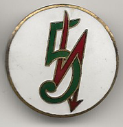 5. Københavnske Division